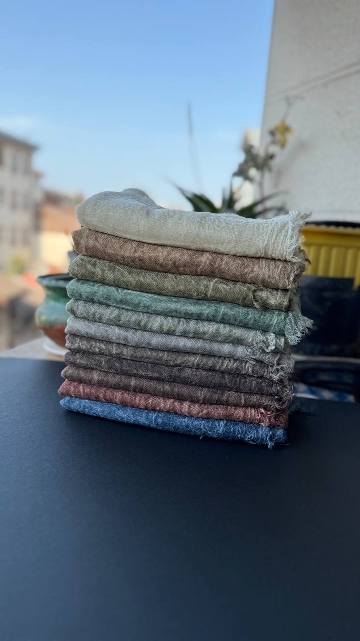 photo_13_2025-08-07_10-09-19