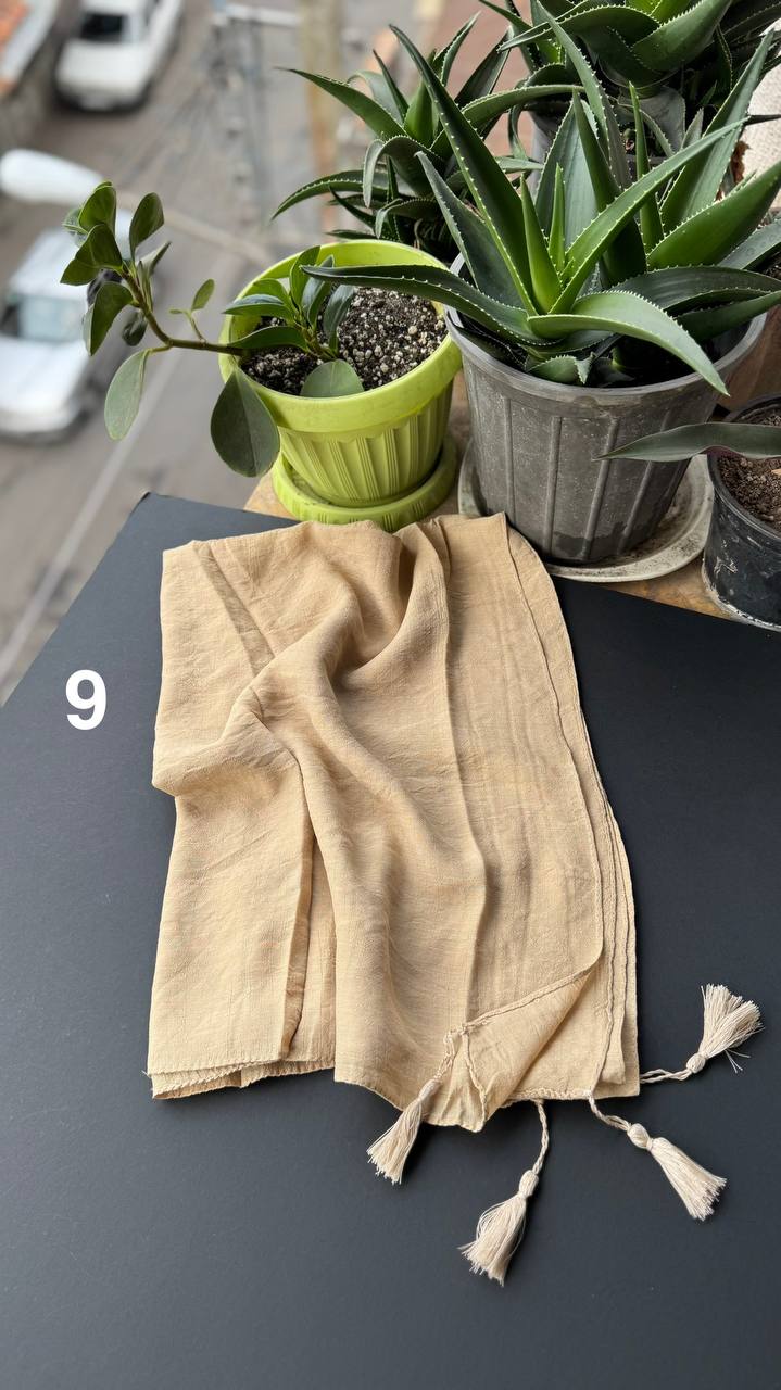 photo_13_2025-09-13_18-38-27