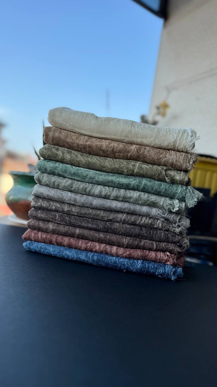 photo_14_2025-08-07_10-09-19