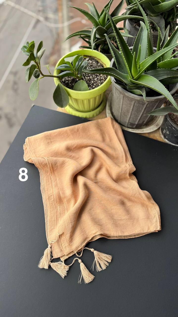 photo_14_2025-09-13_18-38-27