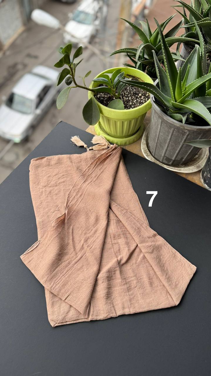 photo_15_2025-09-13_18-38-27