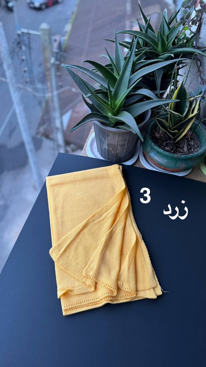 photo_17_2025-11-29_16-45-28