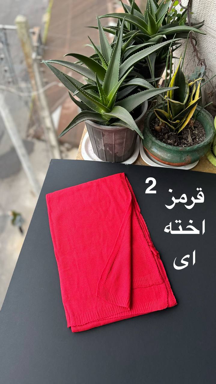 photo_18_2025-11-29_16-45-28