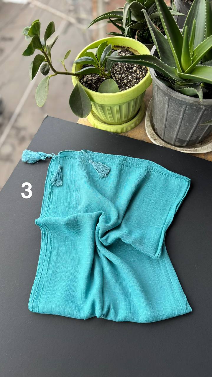 photo_19_2025-09-13_18-38-27