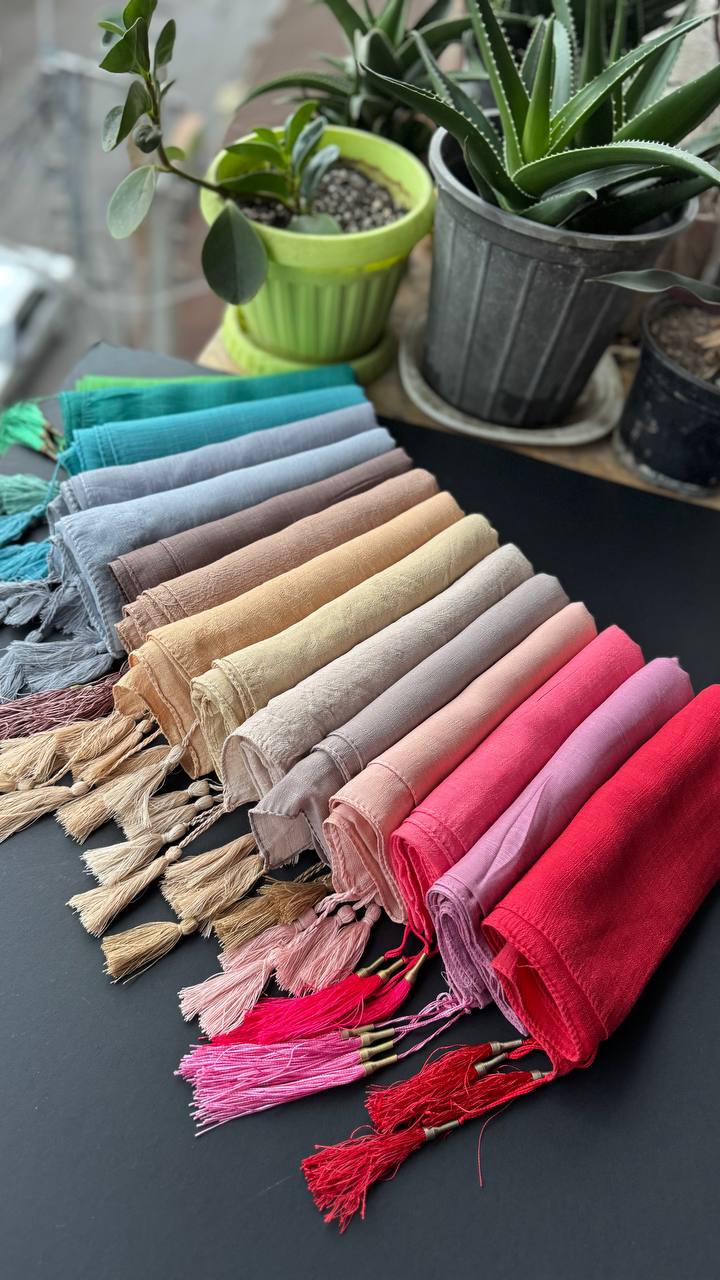 photo_1_2025-09-13_18-38-27