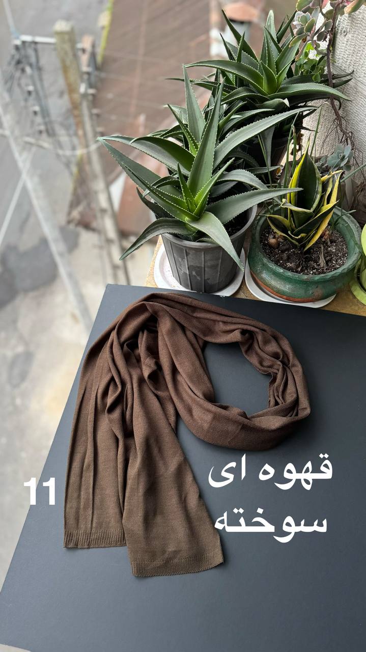 photo_1_2025-11-29_16-57-47