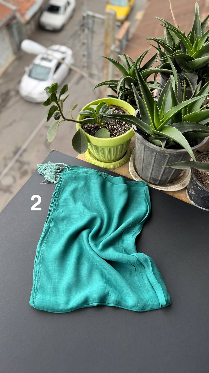 photo_20_2025-09-13_18-38-27