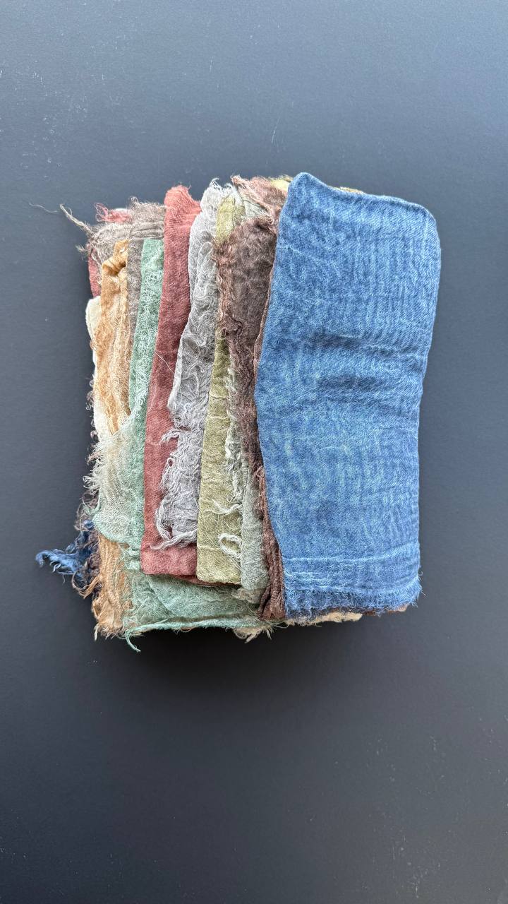 photo_26_2025-08-07_10-09-19