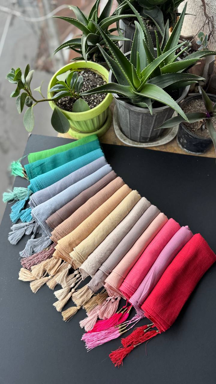 photo_2_2025-09-13_18-38-27