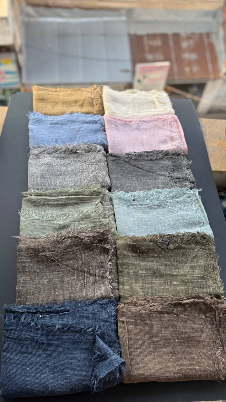 photo_3_2025-08-07_12-10-48