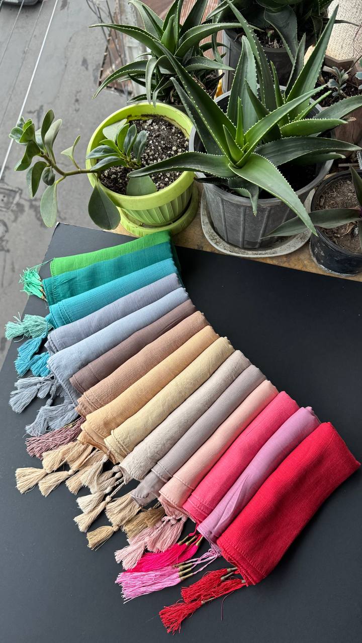 photo_4_2025-09-13_18-38-27