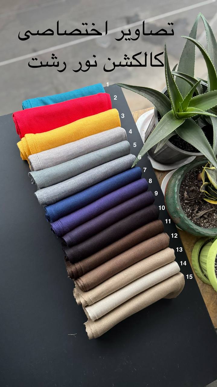 photo_4_2025-11-29_16-45-28