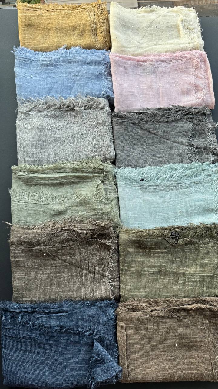 photo_5_2025-08-07_12-10-48