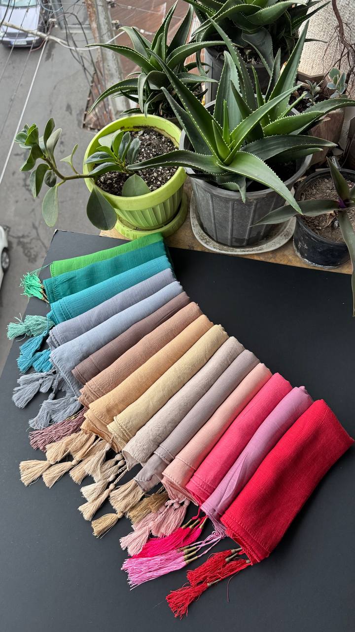 photo_5_2025-09-13_18-38-27