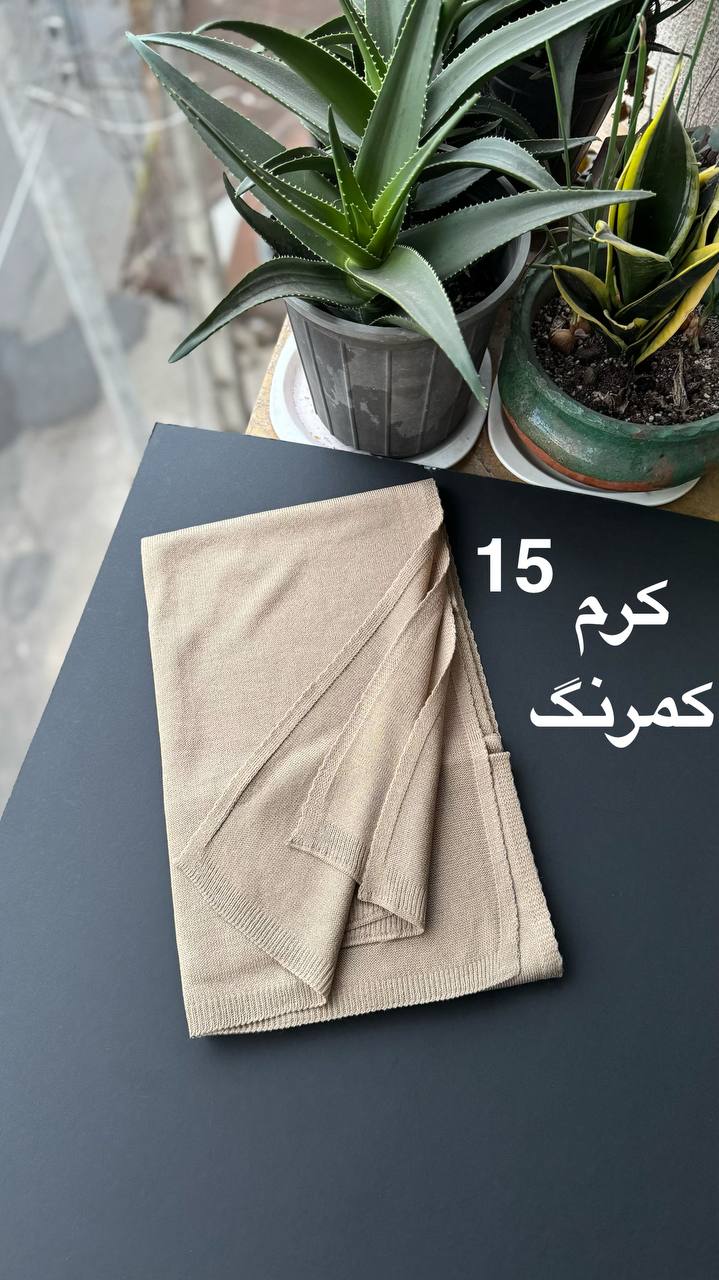 photo_5_2025-11-29_16-45-28