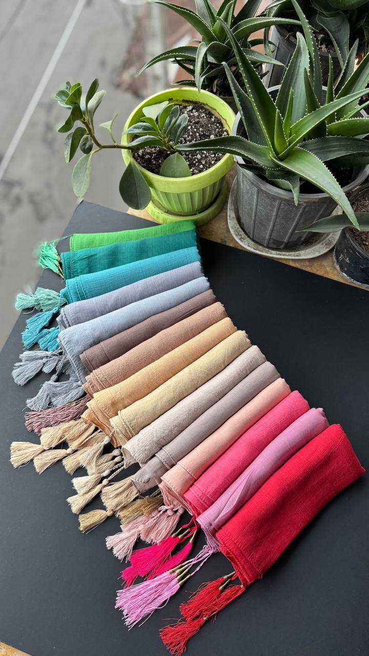 photo_6_2025-09-13_18-38-27