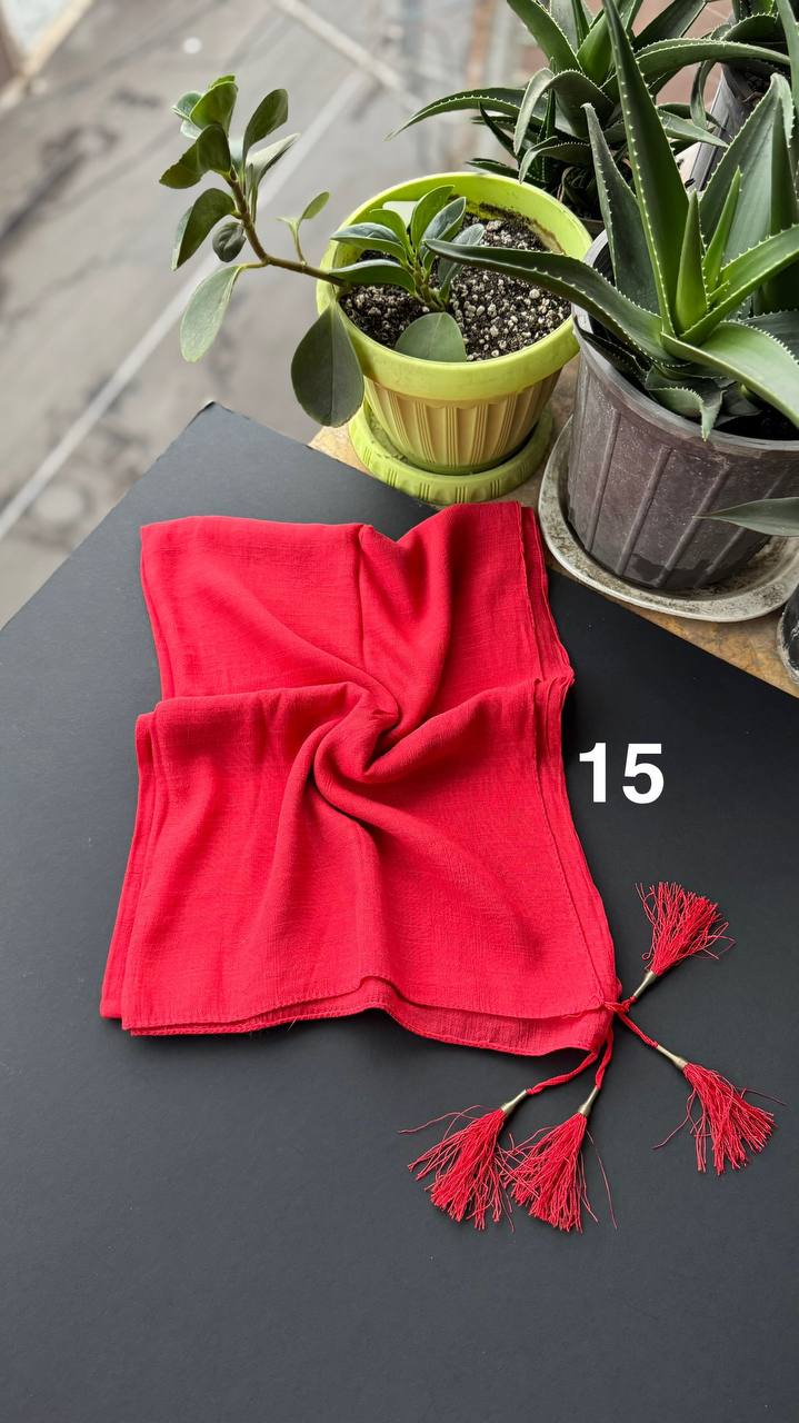 photo_7_2025-09-13_18-38-27