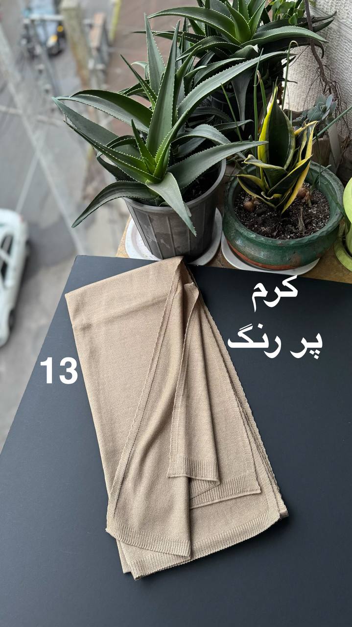 photo_7_2025-11-29_16-45-28