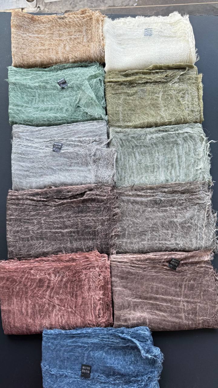 photo_8_2025-08-07_10-09-18