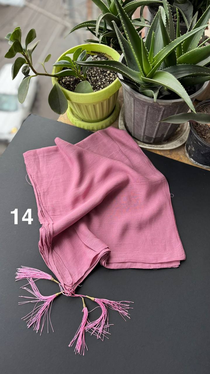 photo_8_2025-09-13_18-38-27