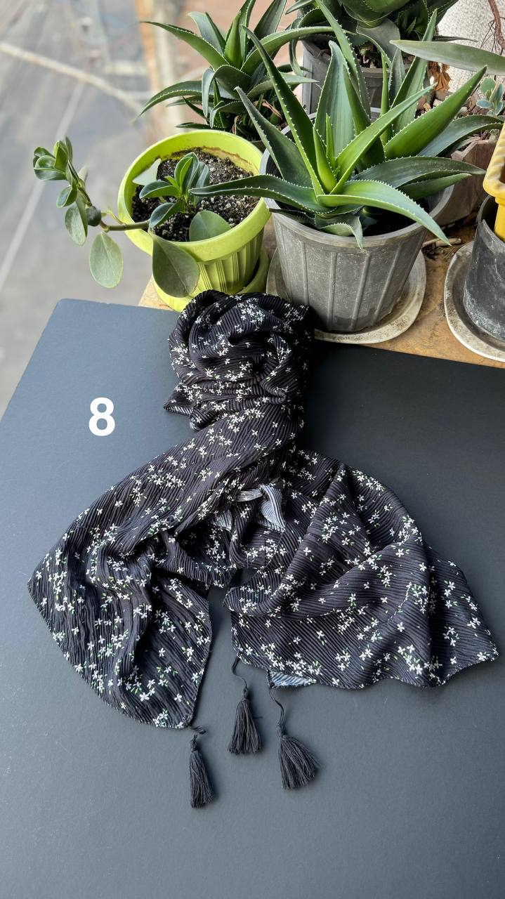 photo_10_2025-09-08_10-08-53