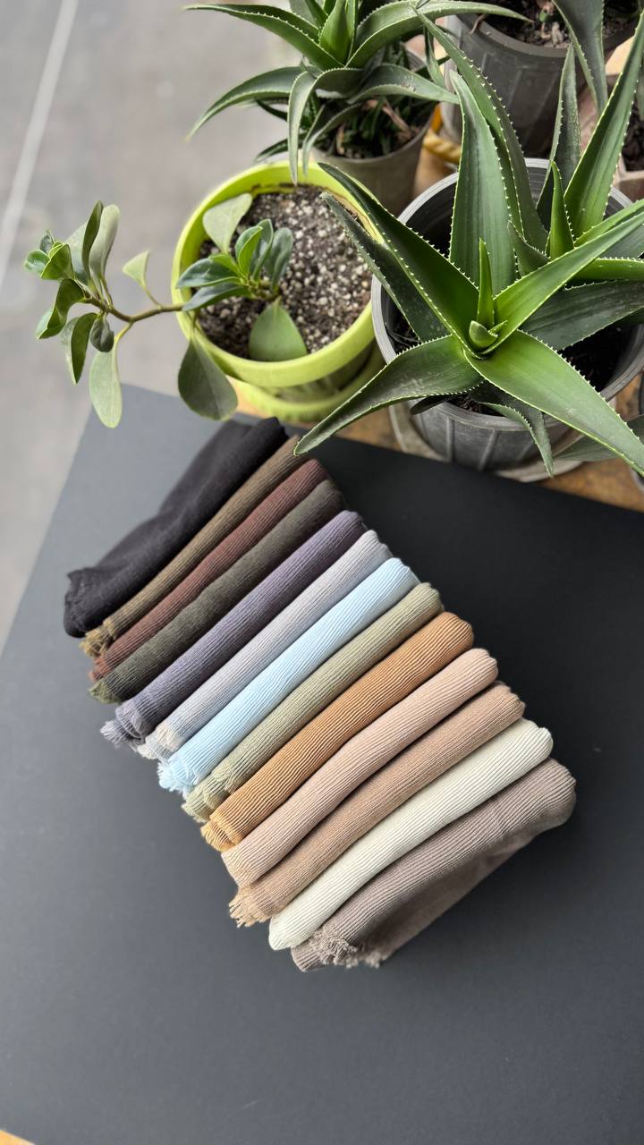 photo_10_2025-09-10_19-52-42