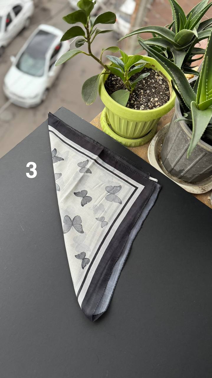 photo_10_2025-09-21_05-20-22