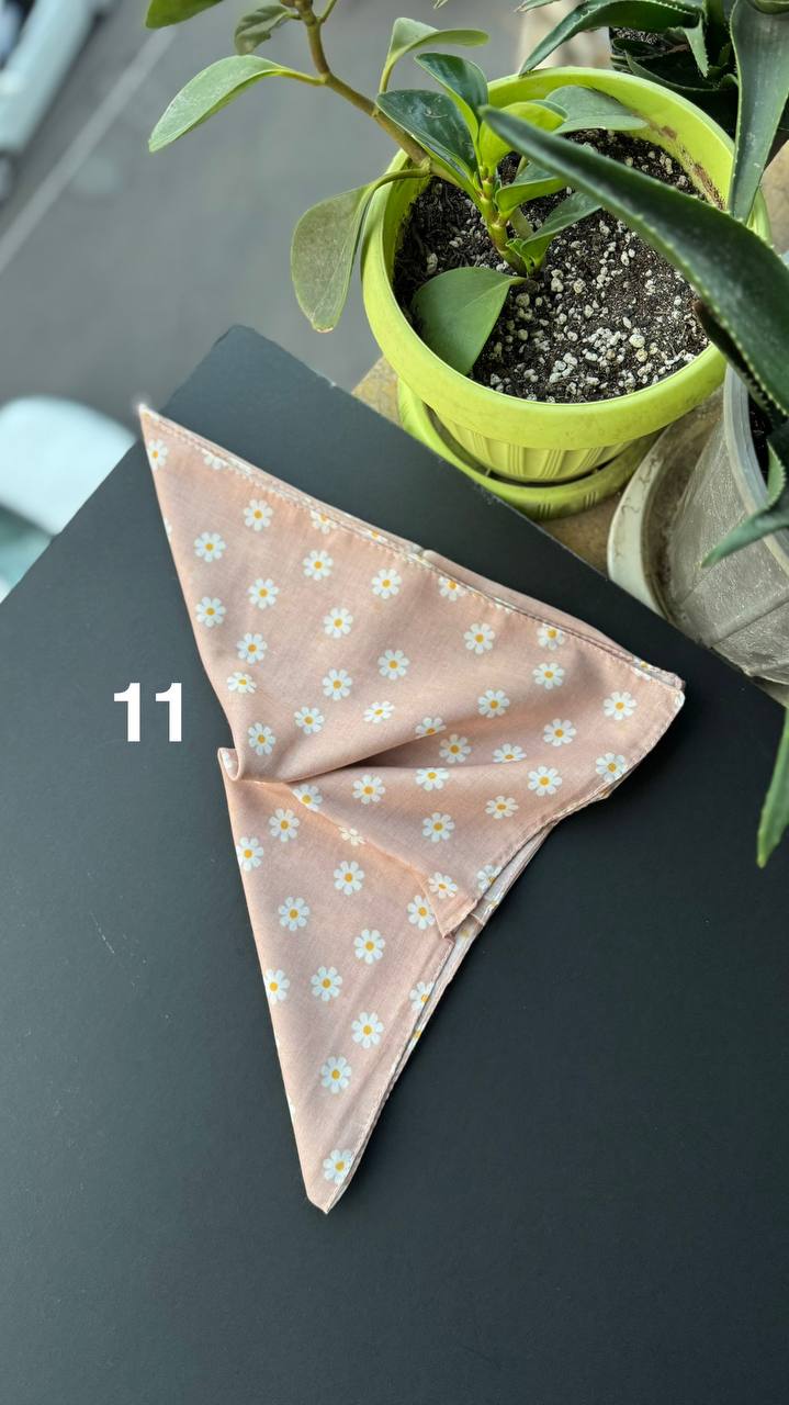 photo_10_2025-09-21_05-56-24