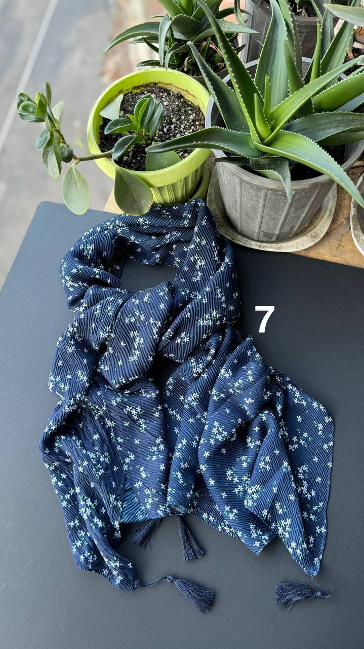 photo_11_2025-09-08_10-08-53