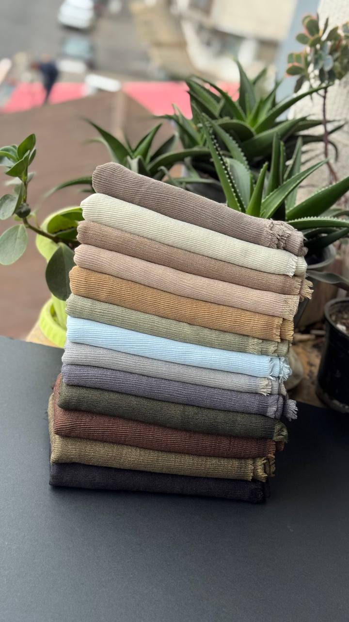 photo_11_2025-09-10_19-52-42