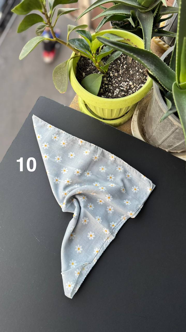 photo_11_2025-09-21_05-56-24