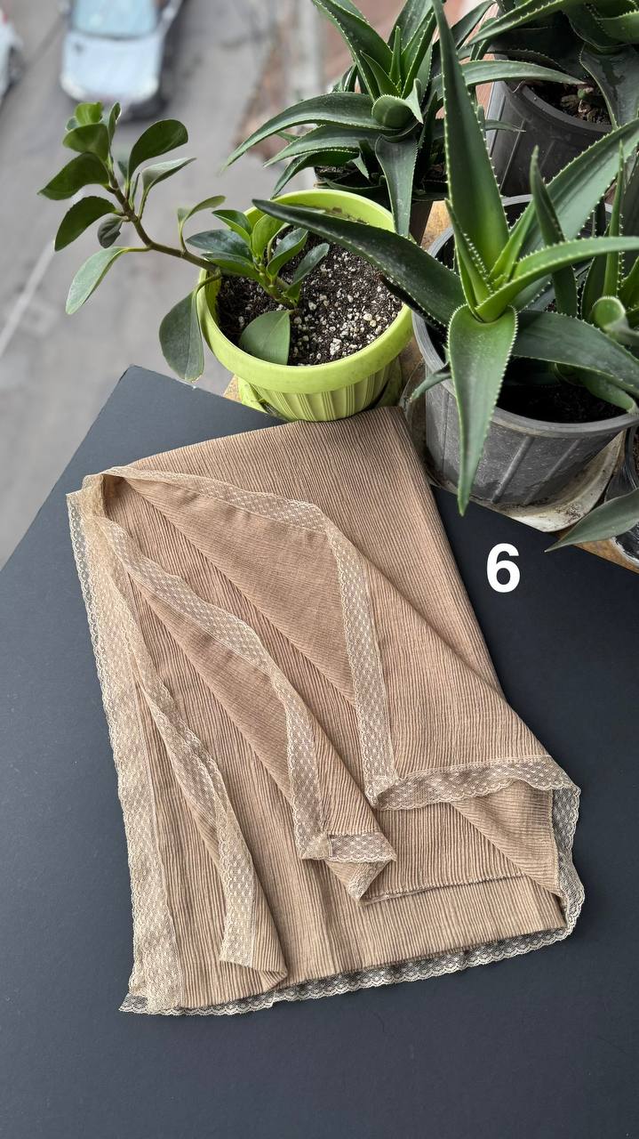 photo_11_2025-09-21_06-29-52