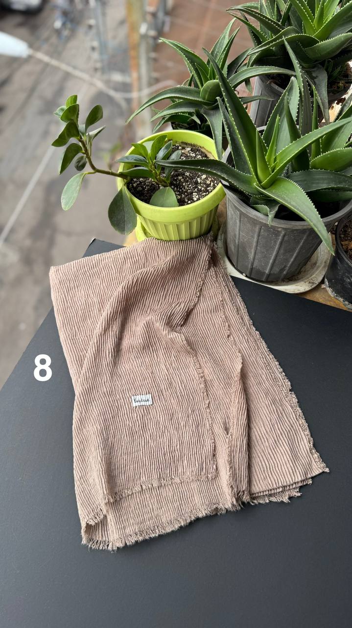 photo_11_2025-09-21_06-38-06