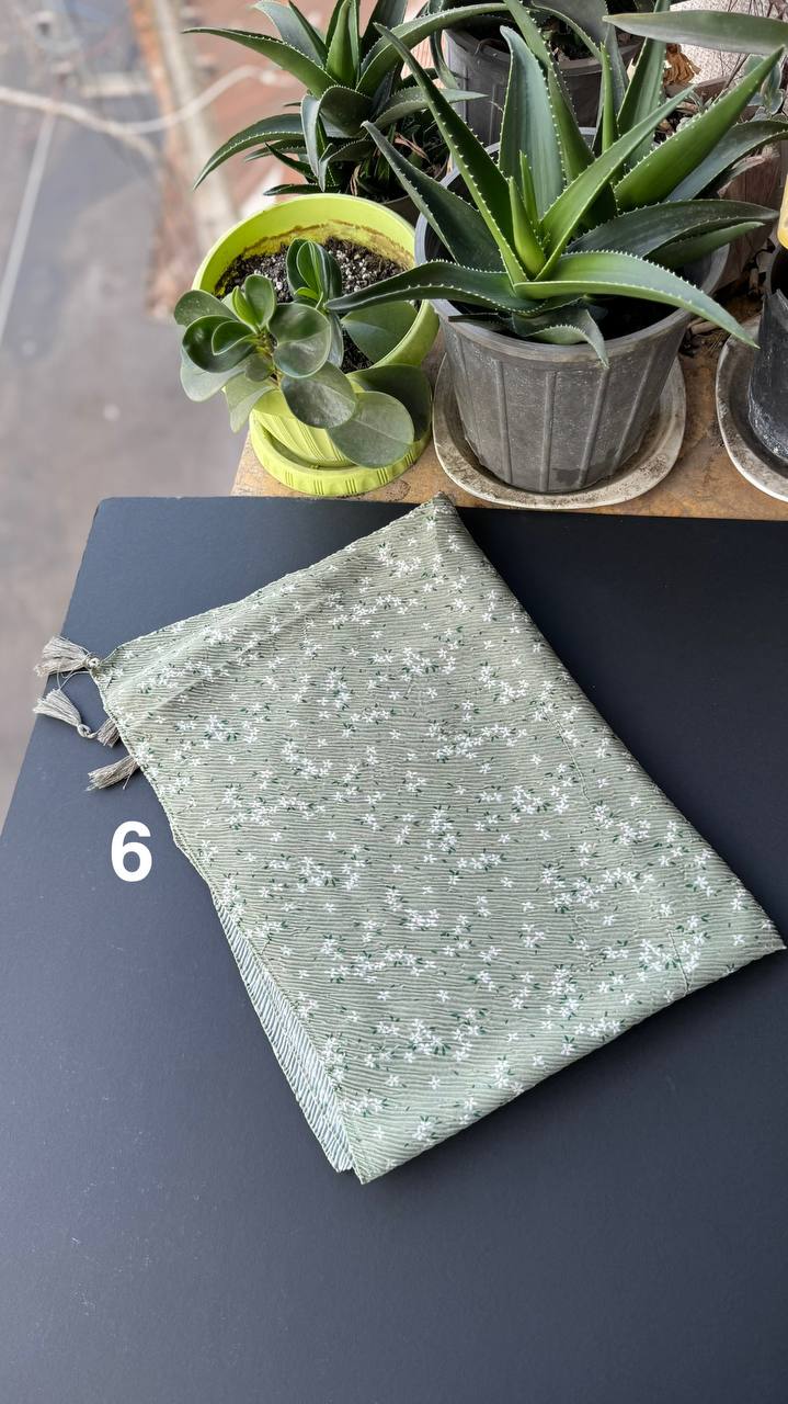 photo_12_2025-09-08_10-08-53