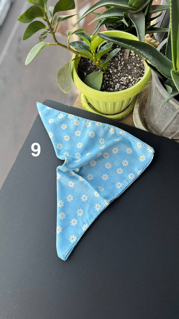 photo_12_2025-09-21_05-56-24