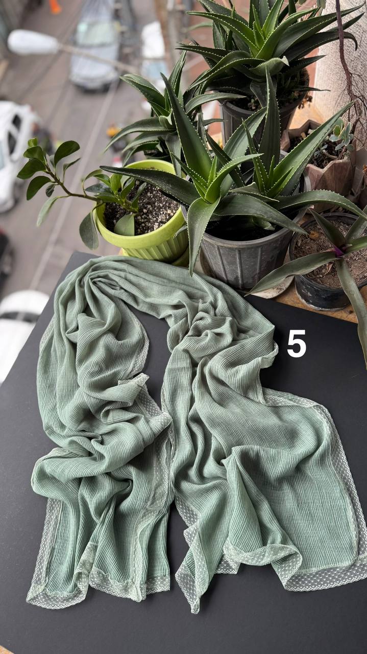 photo_12_2025-09-21_06-29-53