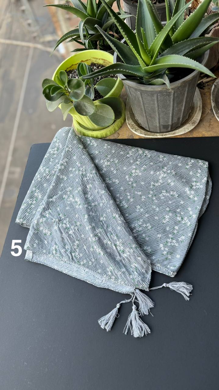 photo_13_2025-09-08_10-08-53