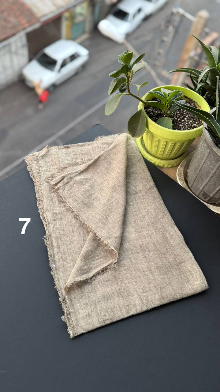 photo_13_2025-09-10_18-45-41