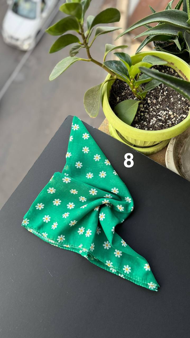 photo_13_2025-09-21_05-56-24