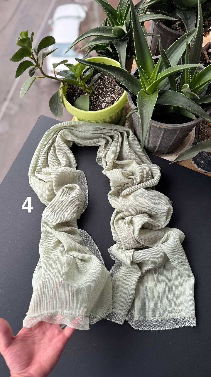 photo_13_2025-09-21_06-29-53