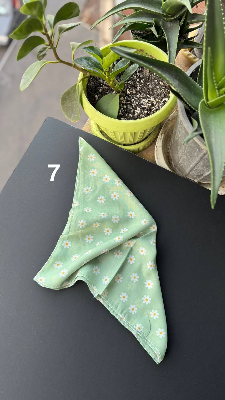 photo_14_2025-09-21_05-56-24