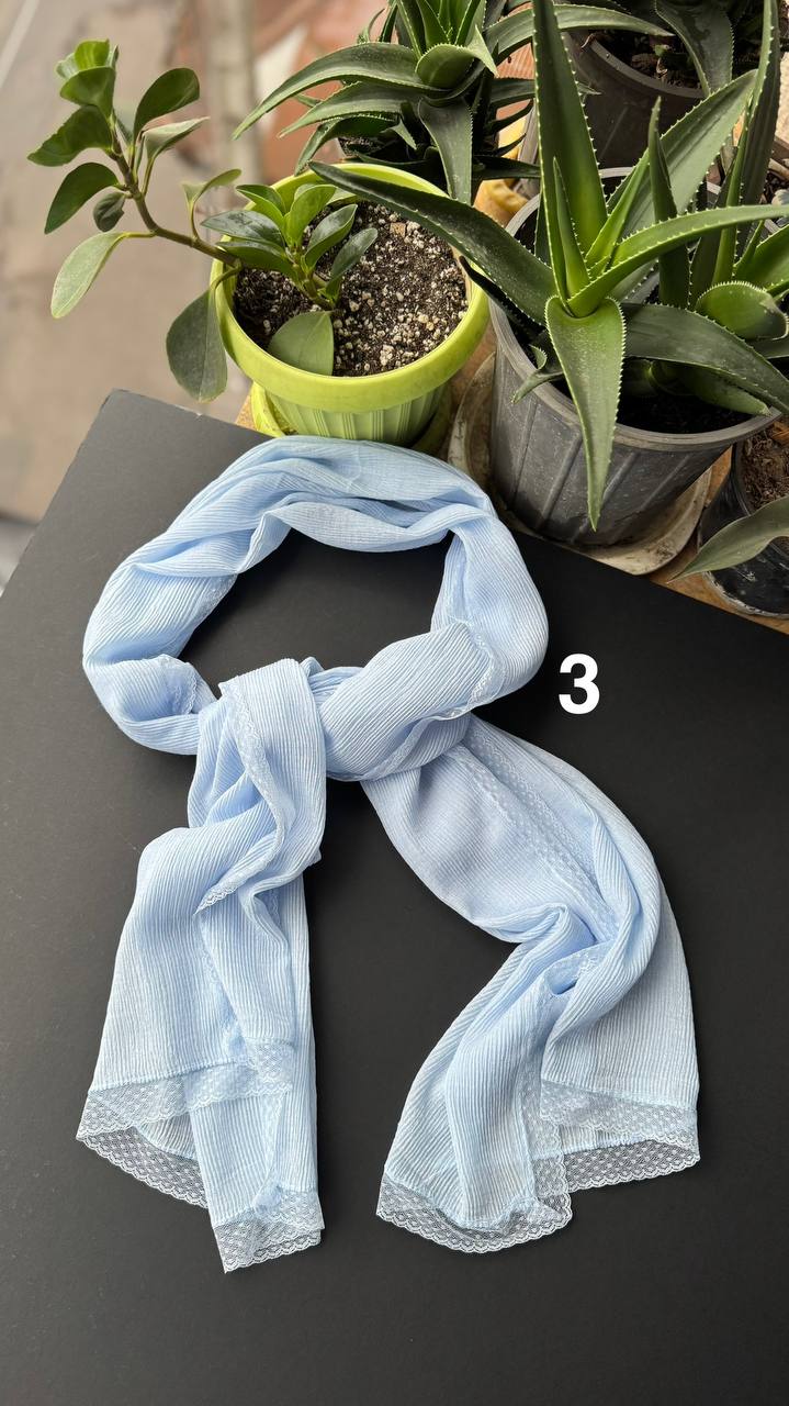 photo_14_2025-09-21_06-29-53