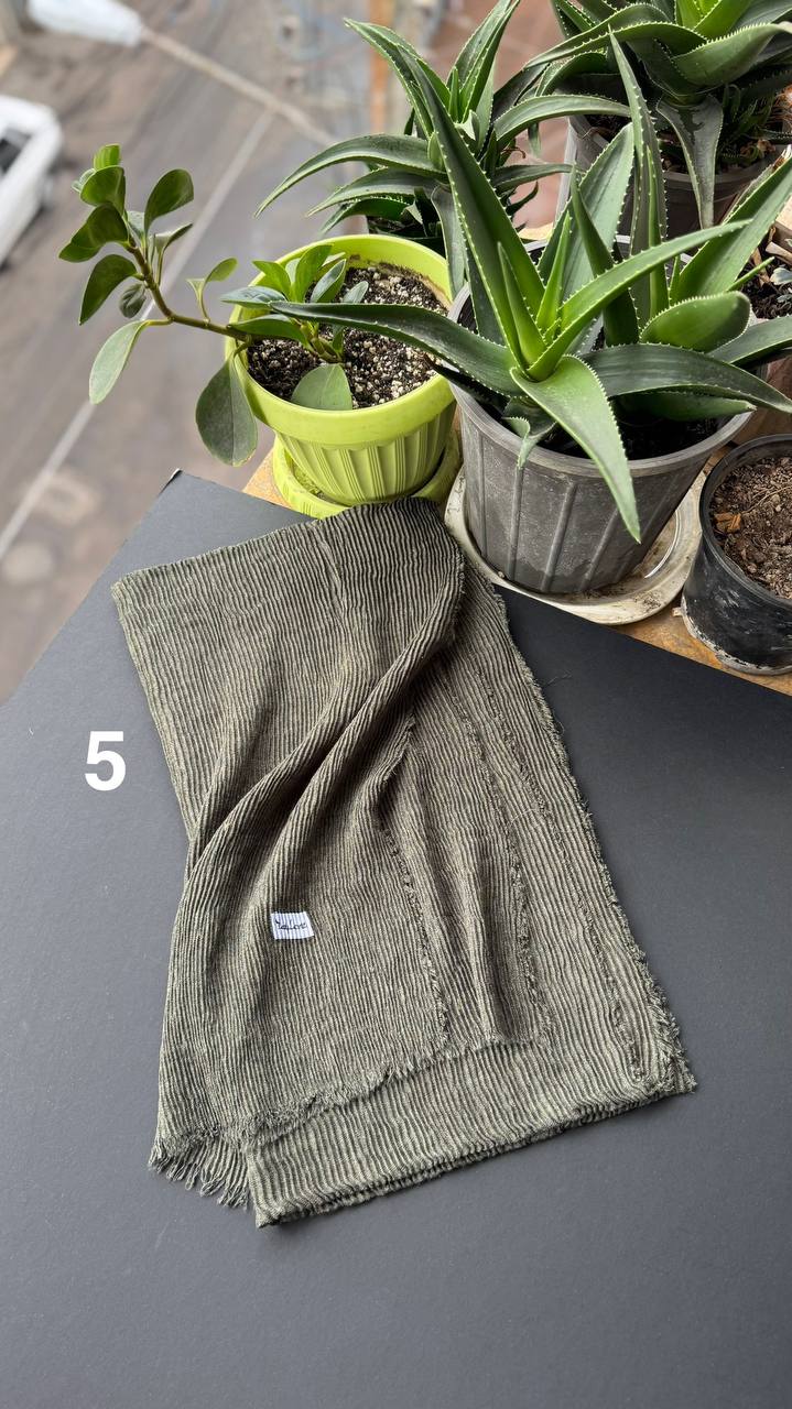 photo_14_2025-09-21_06-38-06