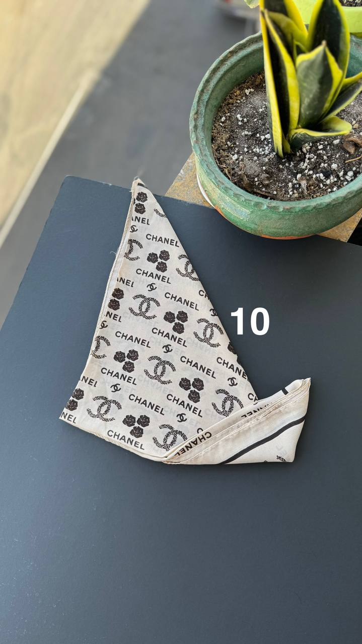 photo_15_2025-09-03_02-15-48