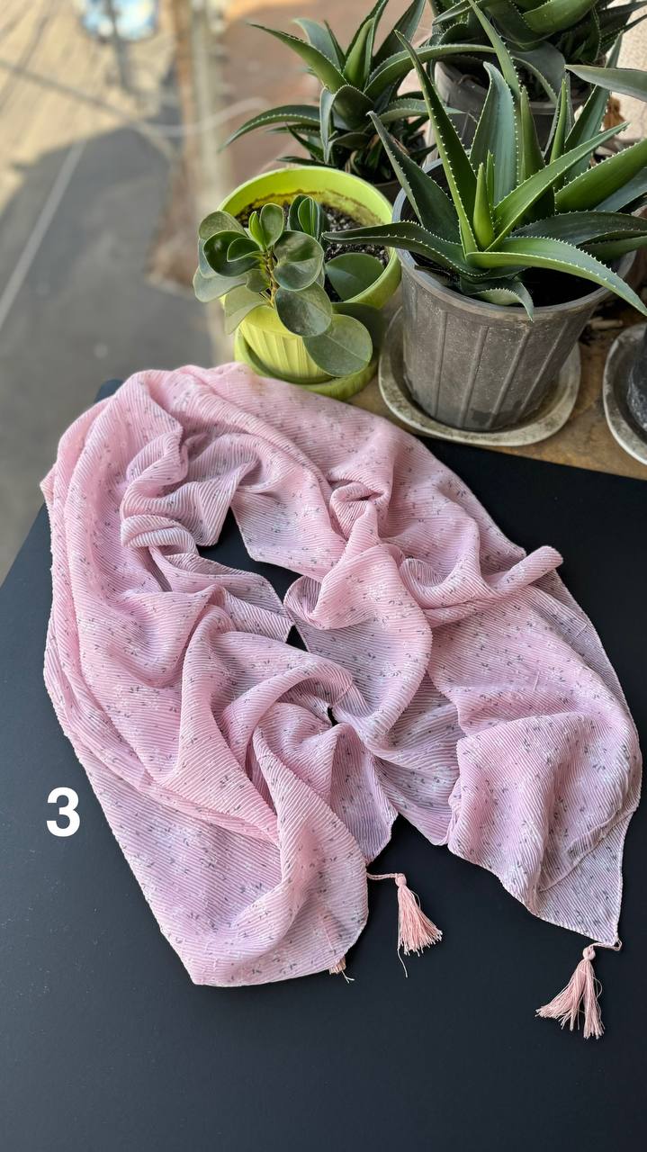 photo_15_2025-09-08_10-08-53