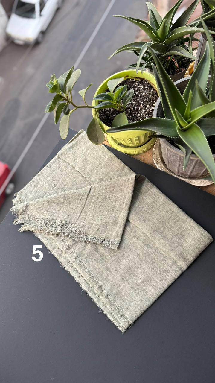 photo_15_2025-09-10_18-45-41