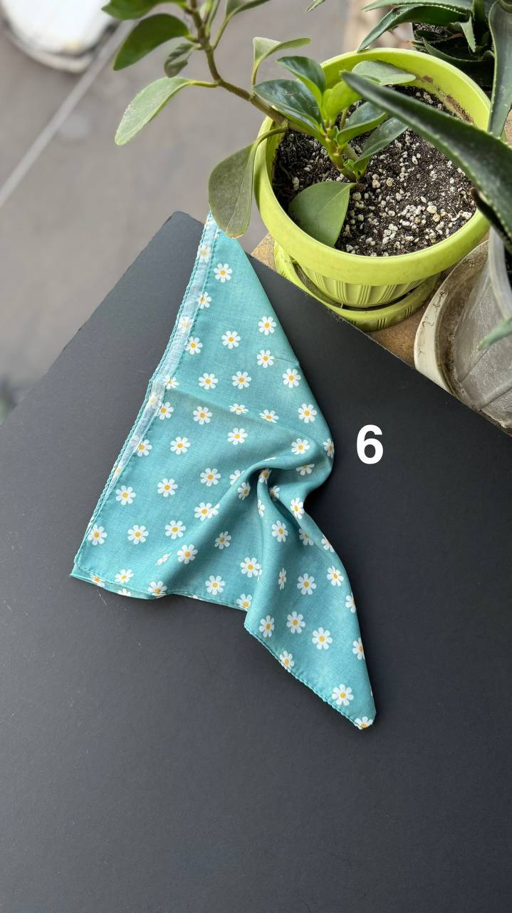 photo_15_2025-09-21_05-56-24