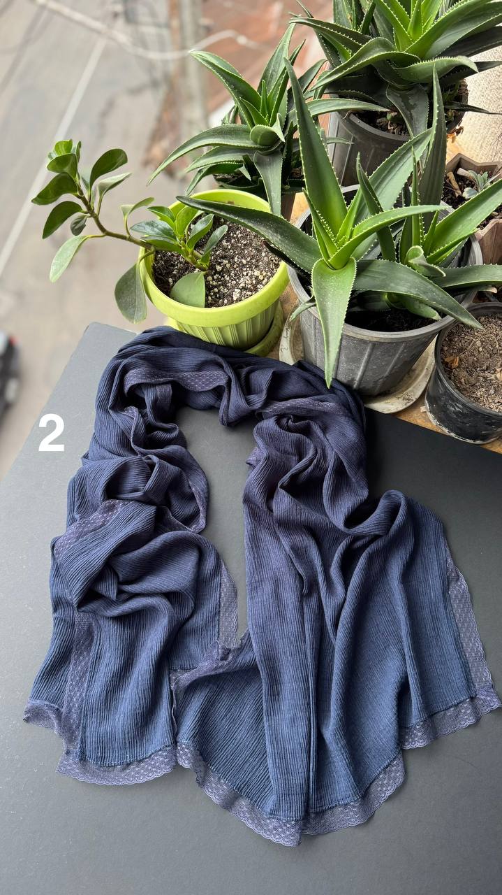 photo_15_2025-09-21_06-29-53