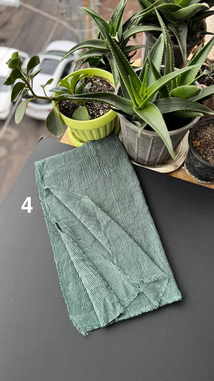 photo_15_2025-09-21_06-38-06