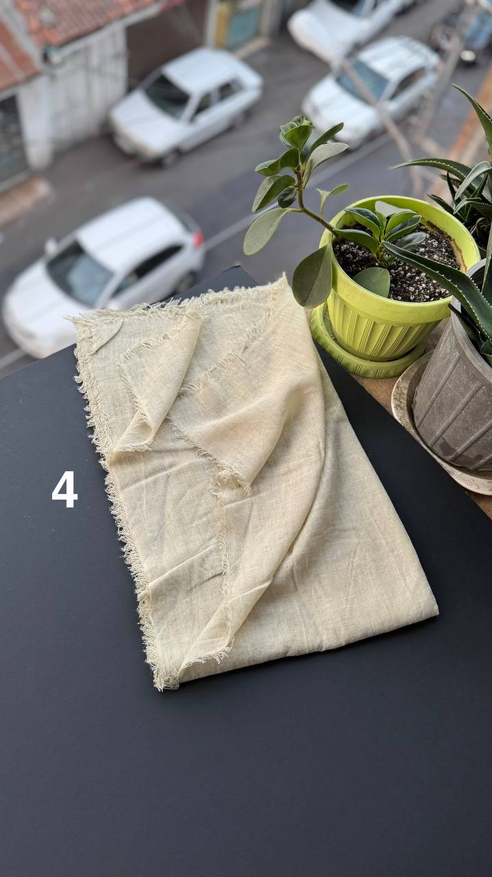 photo_16_2025-09-10_18-45-41